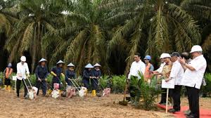 Pemerintah Remajakan 25.423 Hektare Sawit Rakyat di Riau Tahun Ini